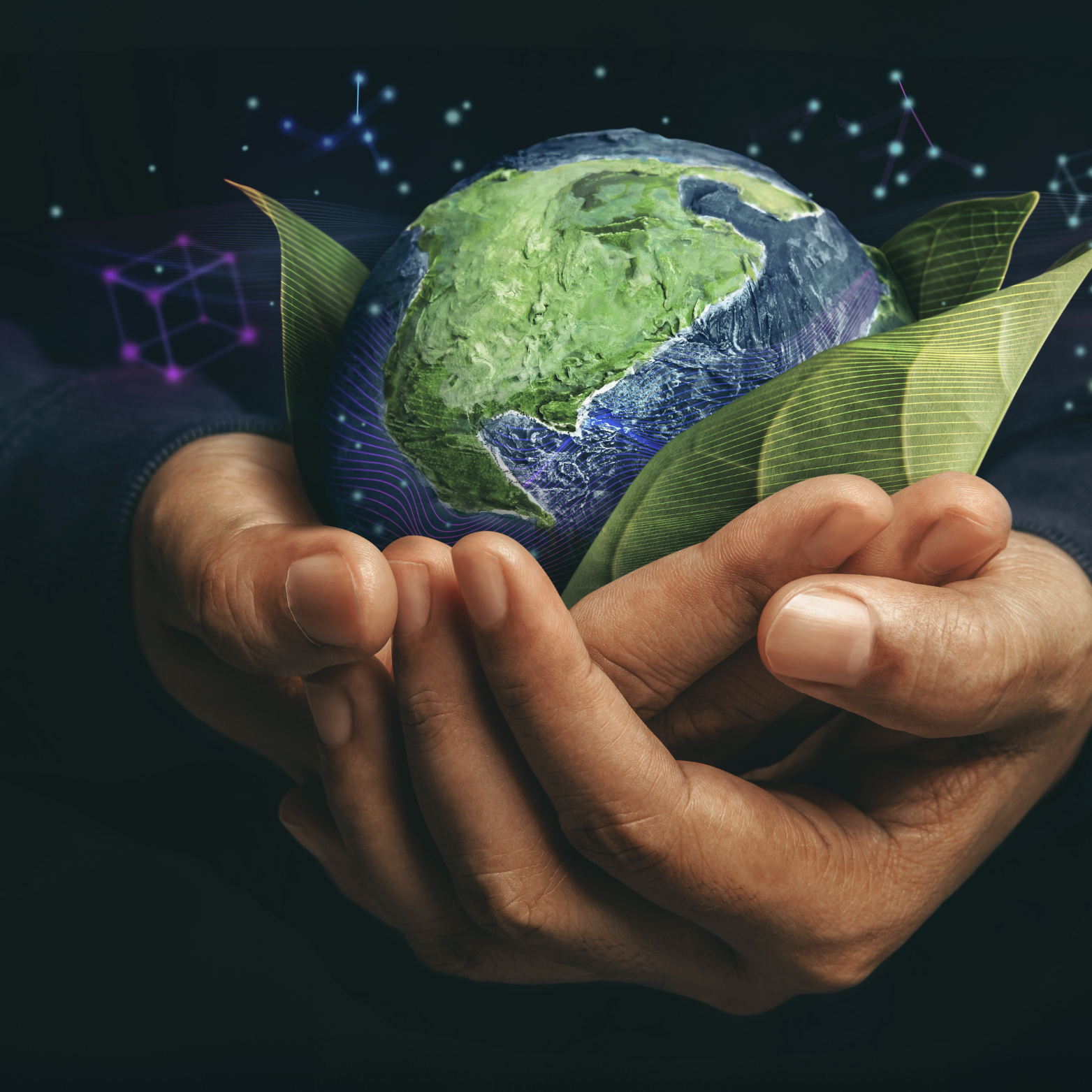 About Herbtouch